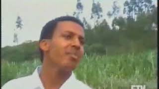 Qasa Qasa Guragigna Music Videos ethiopian music [upl. by Kironde506]