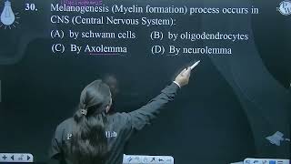 Melanogenesis Myelin formation process occurs in CNS Central Nervous System [upl. by Orville]