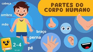 Partes do corpo humano [upl. by Acinorahs532]