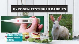 Test for Pyrogens Rabbit method [upl. by Acyssej]