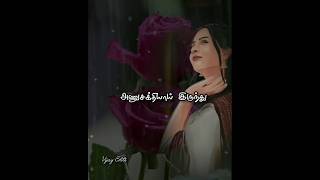 வசந்த சேனா song lyrics tamilshorts [upl. by Namus]