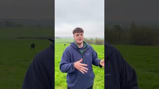 2024 Nuffield Farming NextGen Scholar Ewan McCracken [upl. by Aryek]