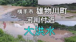 【大洪水】横手市雄物川町 河川付近２０２４，７月２５日早朝 [upl. by Aetnuahs146]