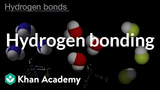 Hydrogen bonding  Intermolecular forces and properties  AP Chemistry  Khan Academy [upl. by Emsoc]