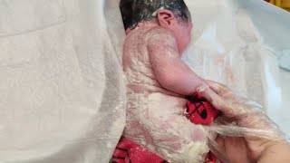 Newborn baby just after birth only few seconds old covered in Vernix Caseosa babiesvideos video [upl. by Alodie]