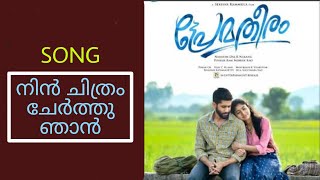 Nin Chithram Song  Prematheeram Movie  Shekhar Kammula  Naga Chaitanya  Sai Pallavi  Pawan CH [upl. by Vyner135]