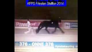 KFPS Friesian Stallion ONNE 376 Hengstenkeuring 2014 [upl. by Charo200]