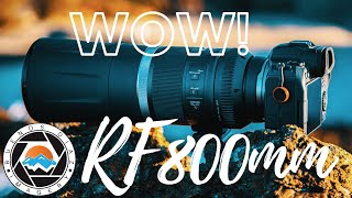 MY First Day With The CANON RF 800 MM F11 Lens On The EOS R6 [upl. by Ilarrold]