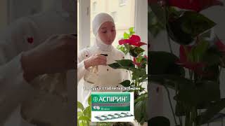 раушанмуратаалыева plants растения гүл garden [upl. by Akahc]