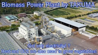 Biomass Power Plant SARA Power Plant by Drone Film [upl. by Asirret]