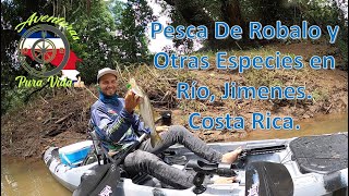 Pesca De Robalo y Otras Especies en Río Jiménez Costa Rica [upl. by Thilde]