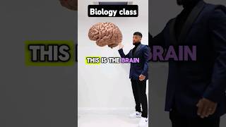 GCSE Biology  Brain Rap [upl. by Neroc]