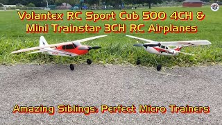 Amazing Siblings Volantex RC Sport Cub 500 amp Mini Trainstar RC Parkflyers  Perfect Micro Trainers [upl. by Anitneuq173]