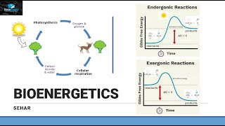 Introduction of Bioenergetics Part 1 [upl. by Nanice]