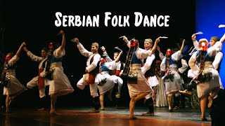 Serbian Folk Dance  The Tamburitzans [upl. by Husein141]