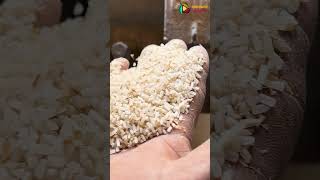 StepbyStep rice Dehulling process  From Grain to GrainFree 🌾✨  Product Tales [upl. by Noj976]