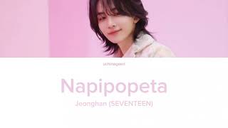 SEVENTEEN Jeonghan Napipopeta Lyrics 가사Romanized [upl. by Ilaire]