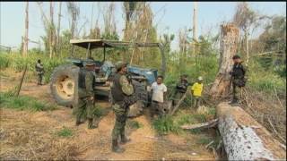 Forçatarefa luta para acabar com o desmatamento na Amazônia [upl. by Gram]