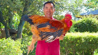 World Most Flavorful Chicken Recipe HUGE Rooster Fried with Rich Side Dishes  Uncle Rural Gourmet [upl. by Nhtanhoj561]