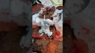 Review on Mediterranean Beef Kebabs by The Falafel Company [upl. by Voletta]