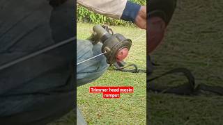 trimmer head mesin rumput mesinrumput mesinpemotongrumput shorts [upl. by Otreblasiul915]