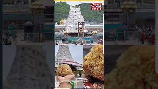 सुप्रीम कोर्ट ने फटकार लगाते हुए कहा भगवान को राजनीति से दूर रखेंviralvideo shorts tirupati [upl. by Carisa847]