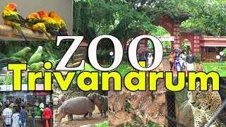 Trivendrum Zoo  Zoological Park  Tiruvananthapuram Kerala [upl. by Grayson691]