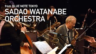 quot渡辺貞夫 SADAO WATANABE ORCHESTRAquot BLUE NOTE TOKYO Interview amp Live Streaming 2020 [upl. by Zetrom448]