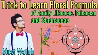 Trick to Write Floral Formulas of Family Fabaceae Solanaceae amp Liliaceae  Morphology via NCERT [upl. by Nahtnhoj]