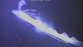 Giant Sea Serpent Caught on Camera [upl. by Keeton]