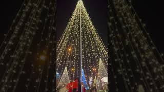 Happy National Day Bahrain🇧🇭❤️Abifiroz  Bahrain National day status video [upl. by Partan]