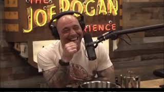 Joe Rogan explains the use of Dude with Dr Mark Gordon [upl. by Utley]