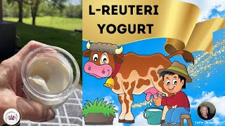 LREUTERI YOGURT Fermented Dairy [upl. by Uos]