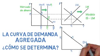 Curva de demanda agregada ¿cómo se determina  Cap 30  Macroeconomía [upl. by Haon113]