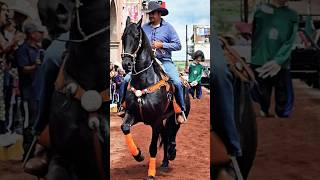 CABALLO BAILADORDESFILE DE LAS FIESTAS PATRIAS UNIÓN DE SAN ANTONIO 2024🇲🇽 Horse dancing shorts [upl. by Gigi]