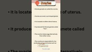 About ovariesovaries ovary [upl. by Meeks]