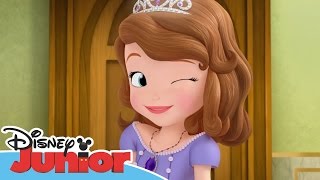 Sofia the First  Friendship is the Formula  Official Disney Junior Africa [upl. by Notsirb]