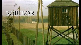 Claude Lanzmann Sobibor [upl. by Haggi580]