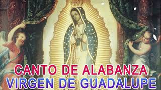 Cantos Para La Virgen De Guadalupe  Canciones A La Virgen De Guadalupe  La Virgen De Guadalupe [upl. by Harak353]