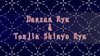 Comparing Danzan Ryu and Tenjin Shinyo Ryu [upl. by Haya]