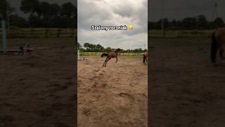 Macie jakiś pomysł na odcinek z Rosą 🩷 equestrian horserider [upl. by Anwahs]