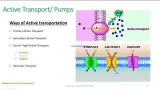 Transport Across Membrane Part 2 [upl. by Adley]