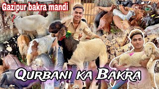 Gazipur Bakra Mandi Gye  Qurbani Ke Bakre lene  Souda bna ya nahi [upl. by Zindman]