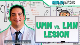 Neurology  Upper Motor Neuron vs Lower Motor Neuron Lesion  UMN vs LMN Lesion [upl. by Slin775]