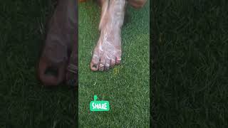 ✅Feet whitening packget feetmost easy pedicure and meni cure At homeskincare video shortvirl😍 [upl. by Sloan]