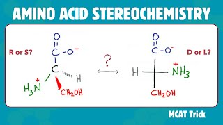 Amino Acid Stereochemistry  R amp S vs D amp L [upl. by Latoyia]