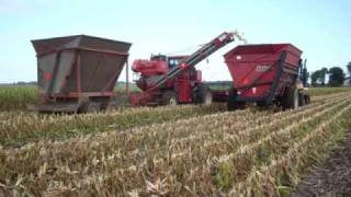 Picking Seed Corn in 08 [upl. by Eniamurt]