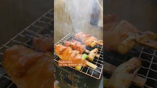 Yakitori on the Hibachi Grill 🍢🔥 Japanese Grilled Chicken homemade mealinspo 🚋 [upl. by Onig19]