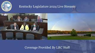 House Standing Committee on Natural Resources and Energy 11824 [upl. by Ardnuek]