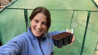 Starting Seeds In An Unheated Greenhouse  Flowers amp Veggies 🌸 🧅 [upl. by Nomelihp231]